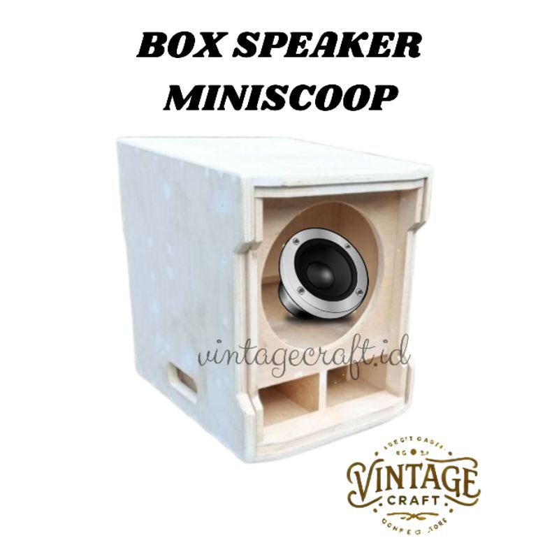 Box Speaker Model Miniscoop 10 inch
