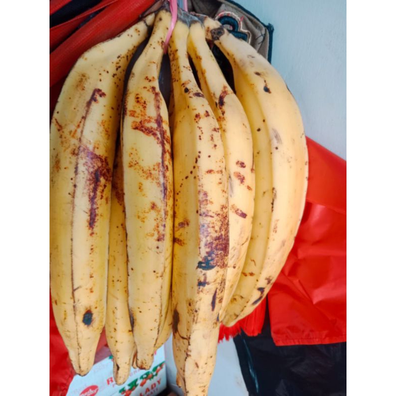 

PISANG TANDUK SUPER 1PCS
