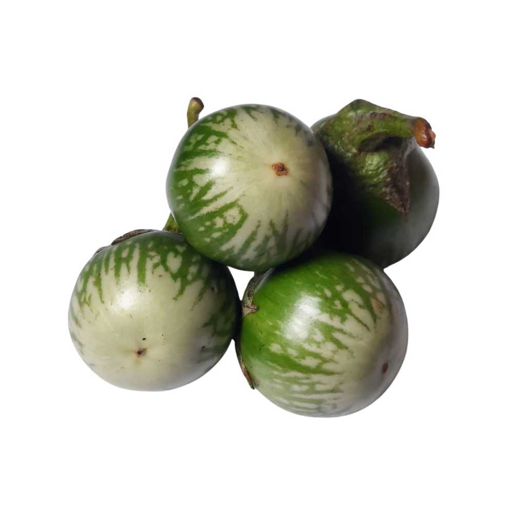 

Terong Lalap Hijau 500 gr