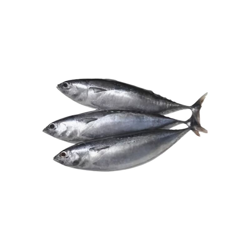 

Ikan Tongkol Fresh 1kg