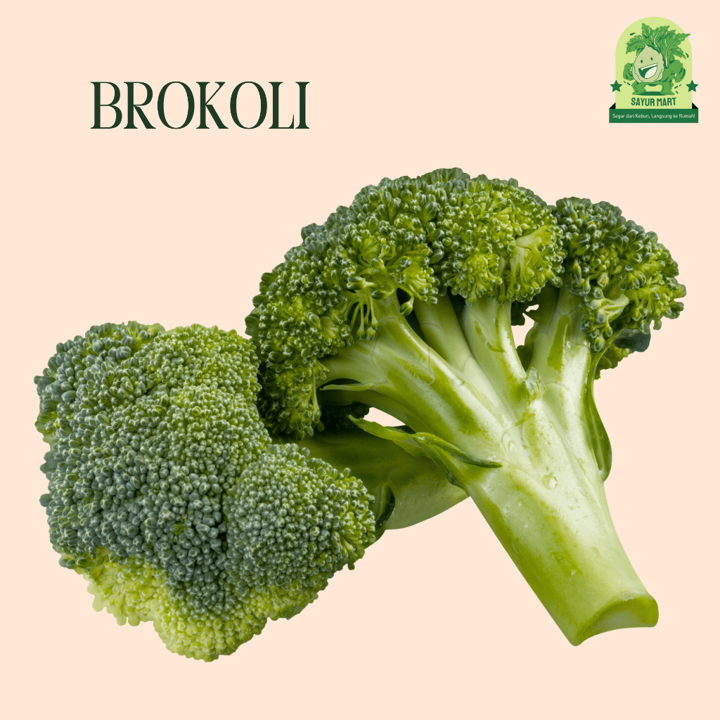 

Brokoli 500 Gram