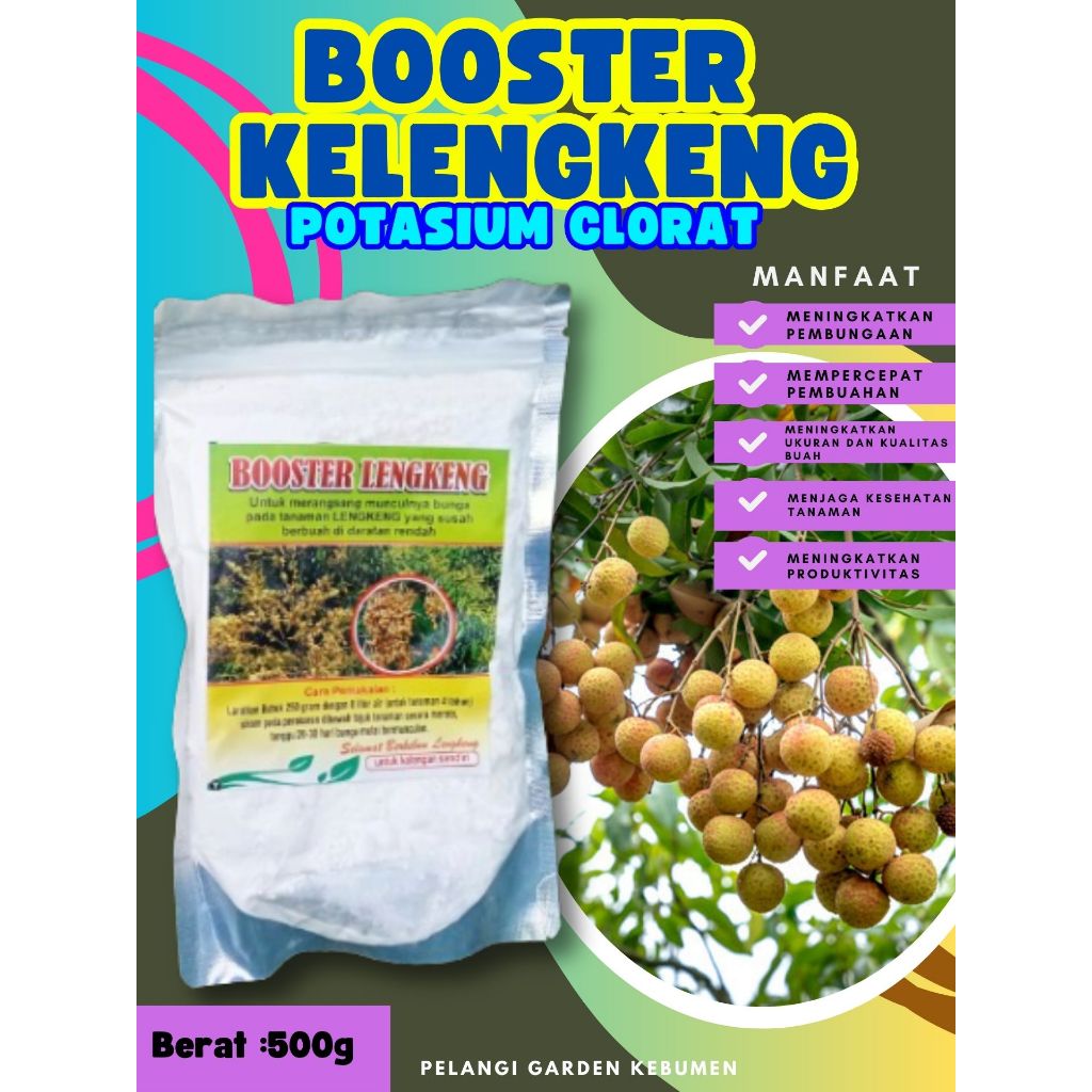 BEST SELLER  Booster Kelengkeng Kclo 3 Murni, Booster Kelengkeng Kclo 3