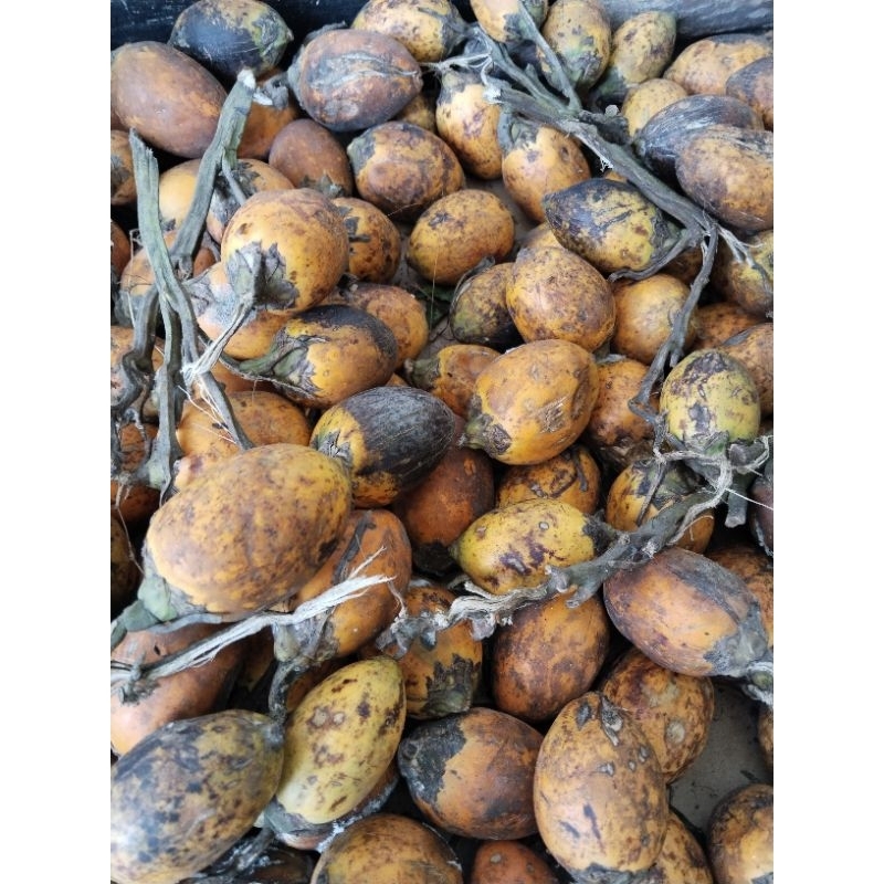 

buah pinang kuning 500gram