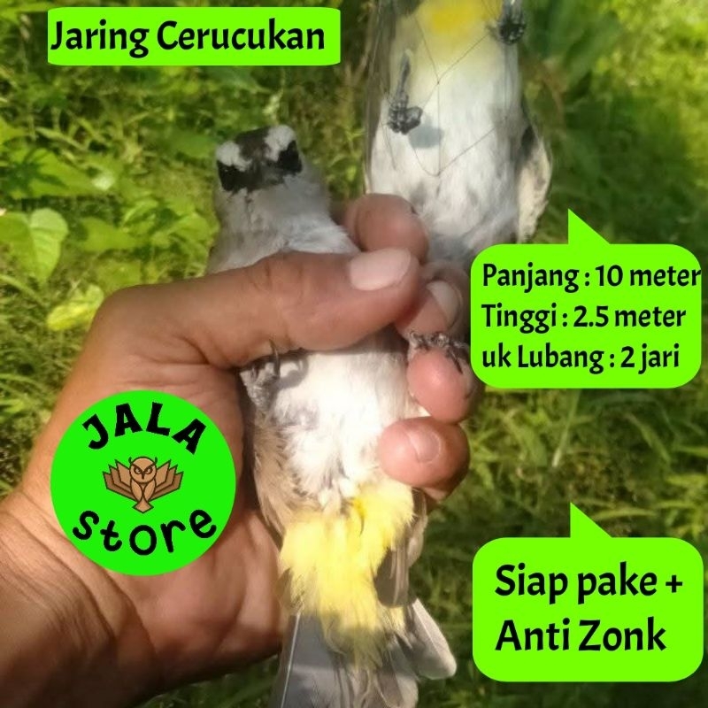 JARING JERAT BURUNG TRUCUKAN JARINGAN BURUNG SIAP PAKE JARING BURUNG TRUCUKAN JALA PIKAT BURUNG SIAP