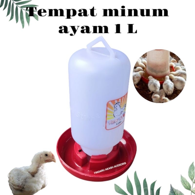 TEMPAT MINUM AYAM DOC ITIK ENTOK BURUNG PUYUH