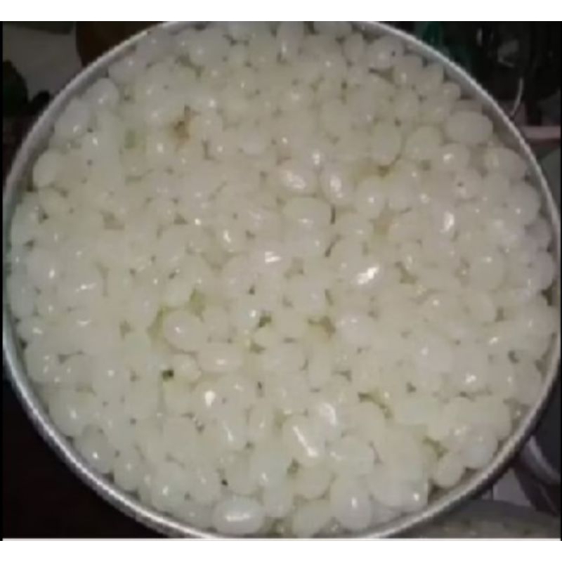 

kolang kaling super 1 kg