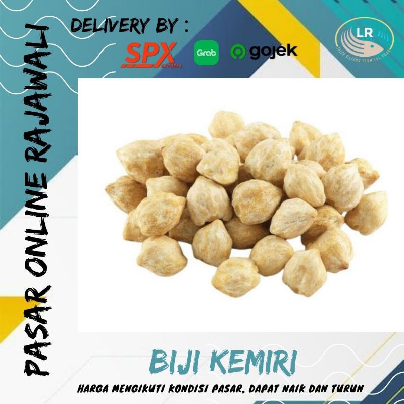

Biji kemiri