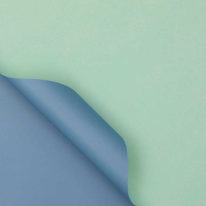 

1 pack 20 lembar kertas buket bening warna paper flower chellophane bunga bouqet wrap wrapping 2 warna 2 tone