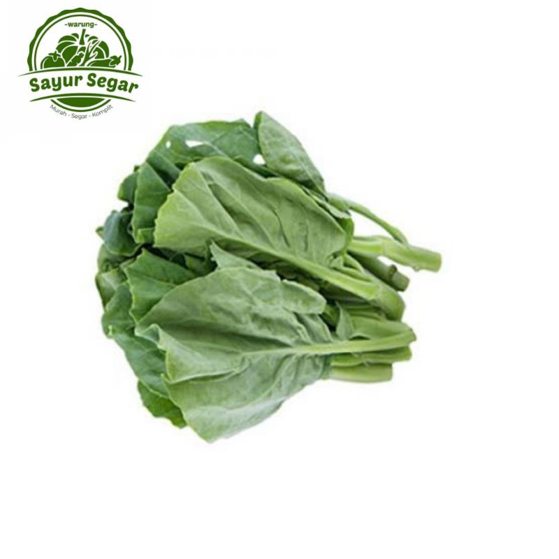 

Kailan / Sayur Kailan - Per Ikat