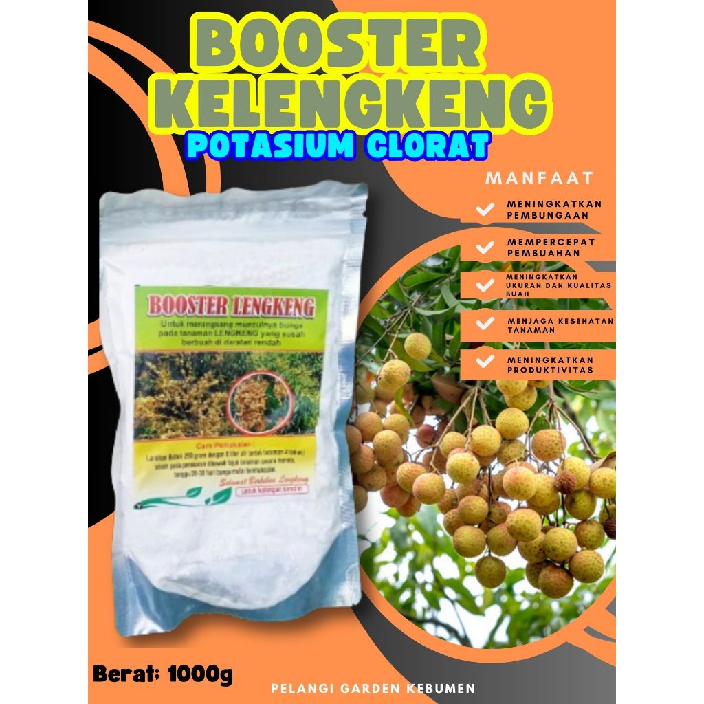BEST SELLER  Booster Kelengkeng Kclo 3 Murni, Booster Kelengkeng Kclo 3