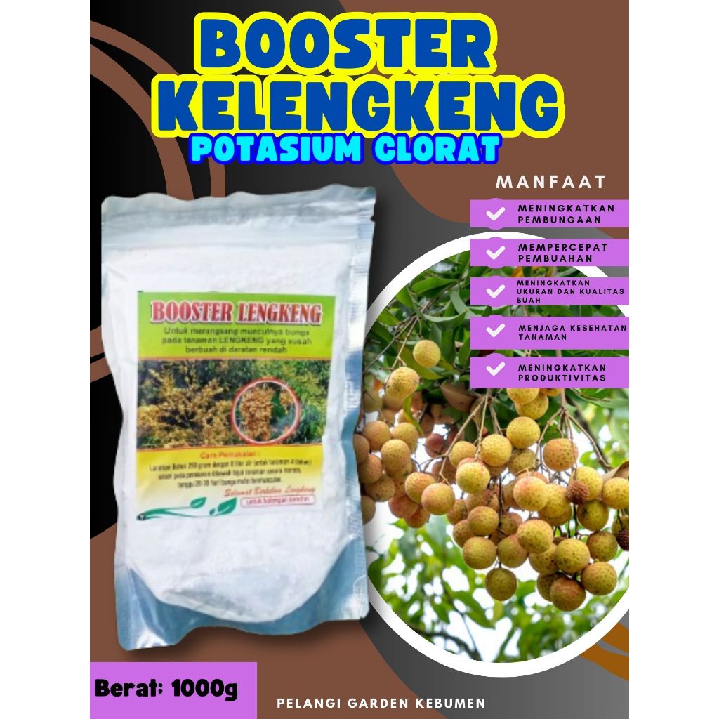 DIJAMIN ASLI  Booster Kelengkeng Berbuah, Booster Kelengkeng Berbunga, Booster Kelengkeng Cepat Berb
