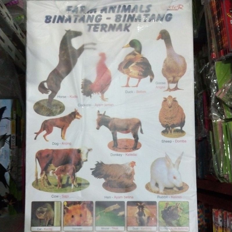 Poster Aneka Hewan Ternak