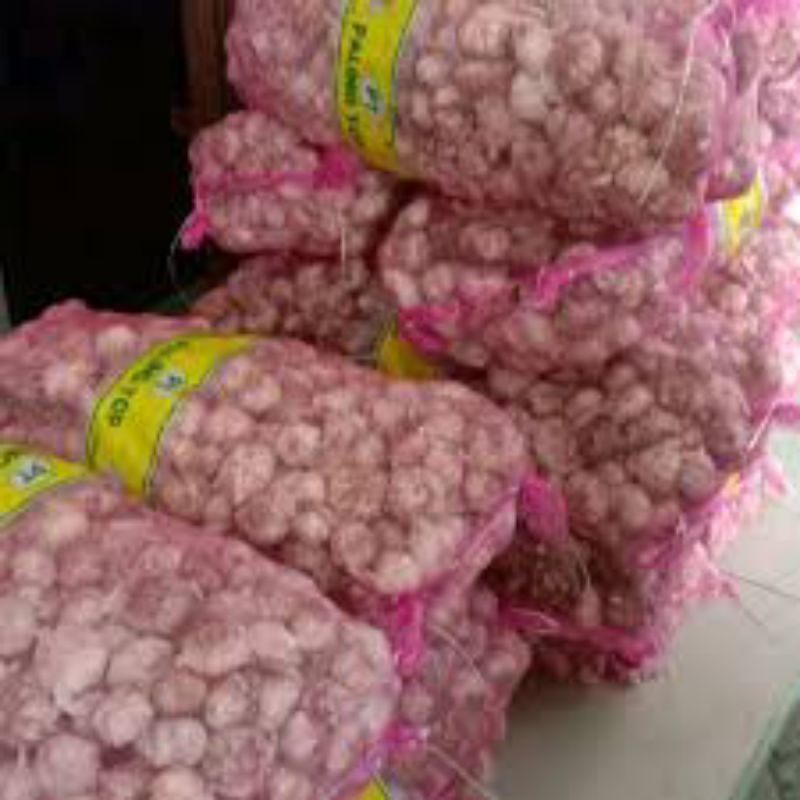

bawang putih fres 500 g