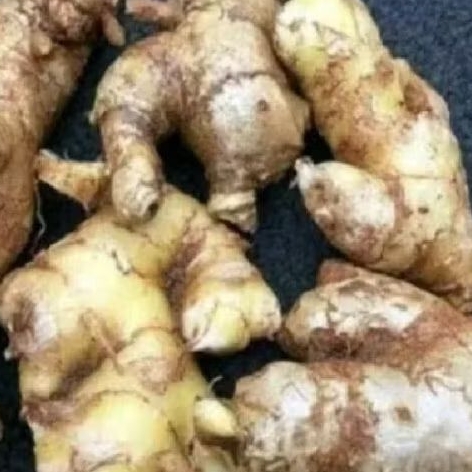 

Promo lempuyang pres bersih 500 grm