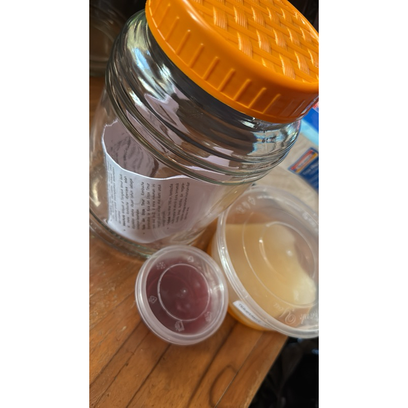 

PAKET Ternak Kombucha: SCOBY + STARTER + TOPLES KACA 2 L + PANDUAN