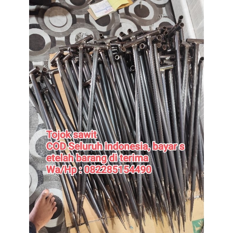 Tojok Buah kelapa sawit