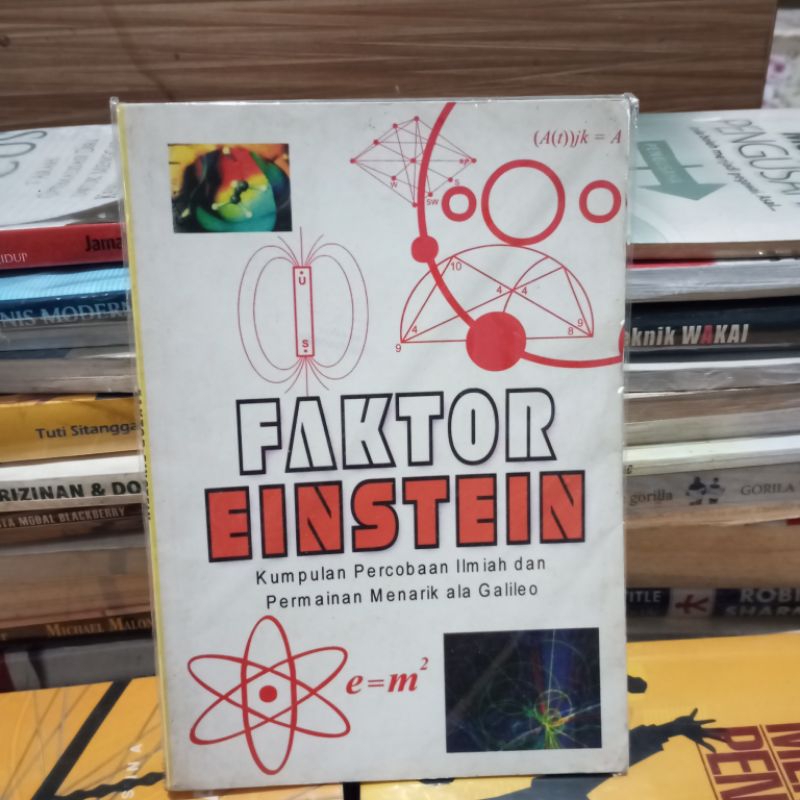 Bisa Cod | Buku Faktor Einstein | Original (Preloved)