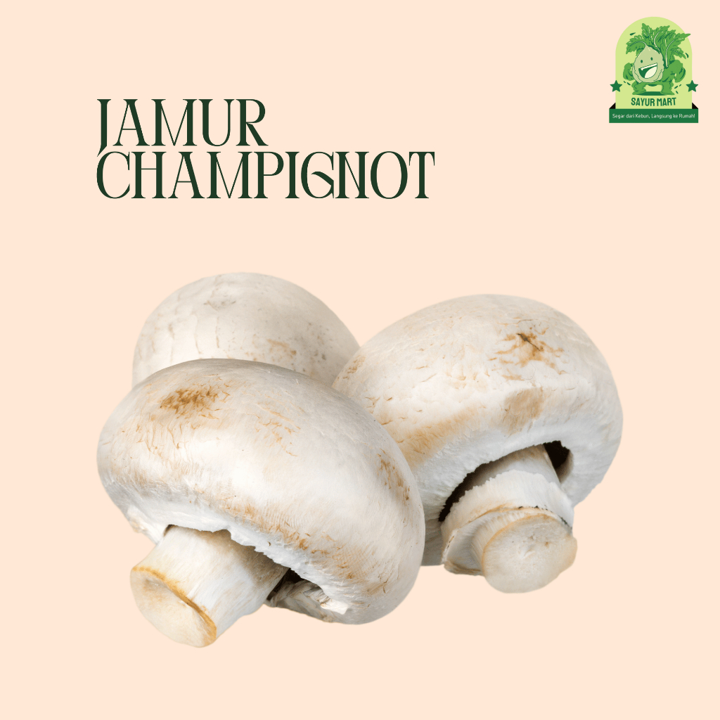 

Jamur Champignot 200 Gram