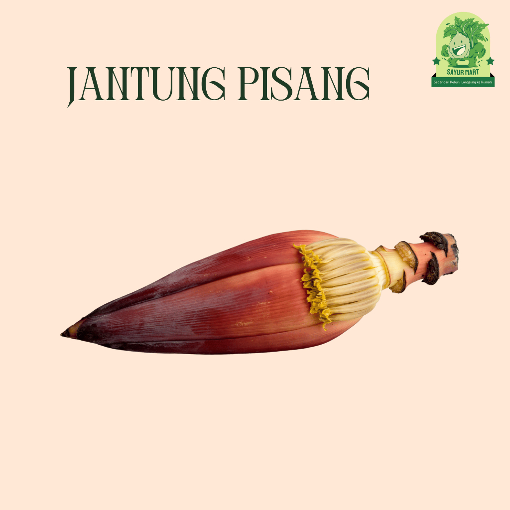 

Jantung Pisang Per Pack
