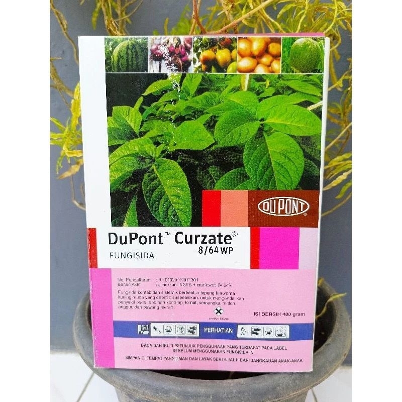Dupont curzate 400gram