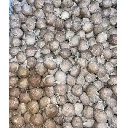 

Bakso Urat Bakso Biasa