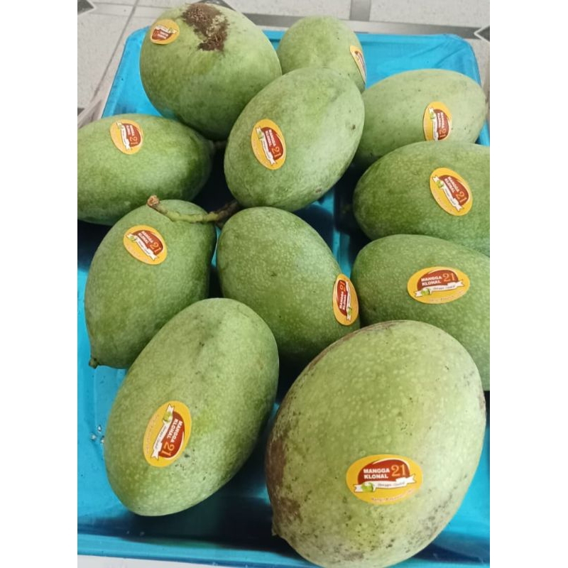 2KG MANGGA MANALAGI MANGGA MUDA RUJAK FRESH