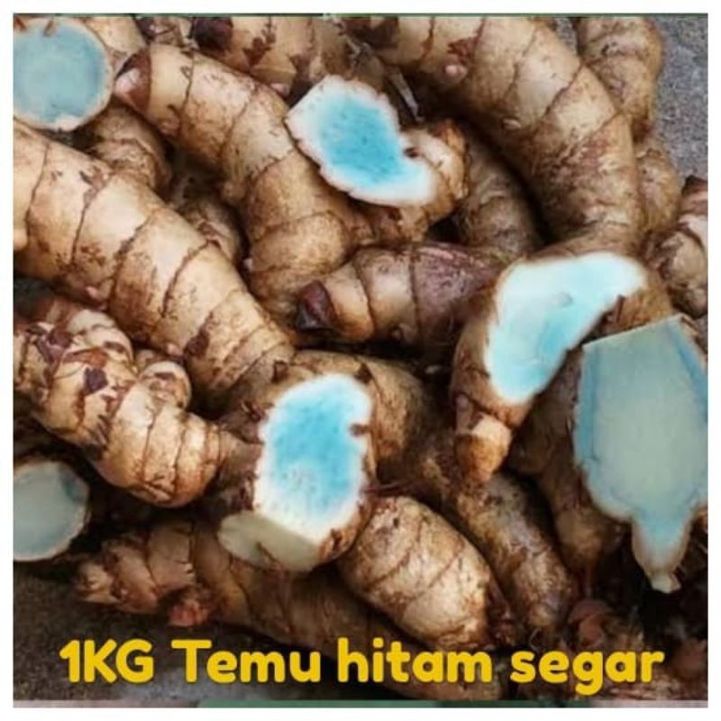 

DI JUAL TEMU HITAM PER500 GRAM