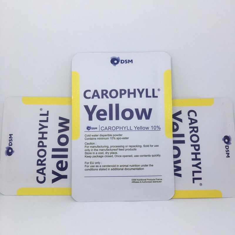 

Pigmen mutasi warna yellow/pigmen mutasi warna/pigmen warna ikan/pewarna hewan