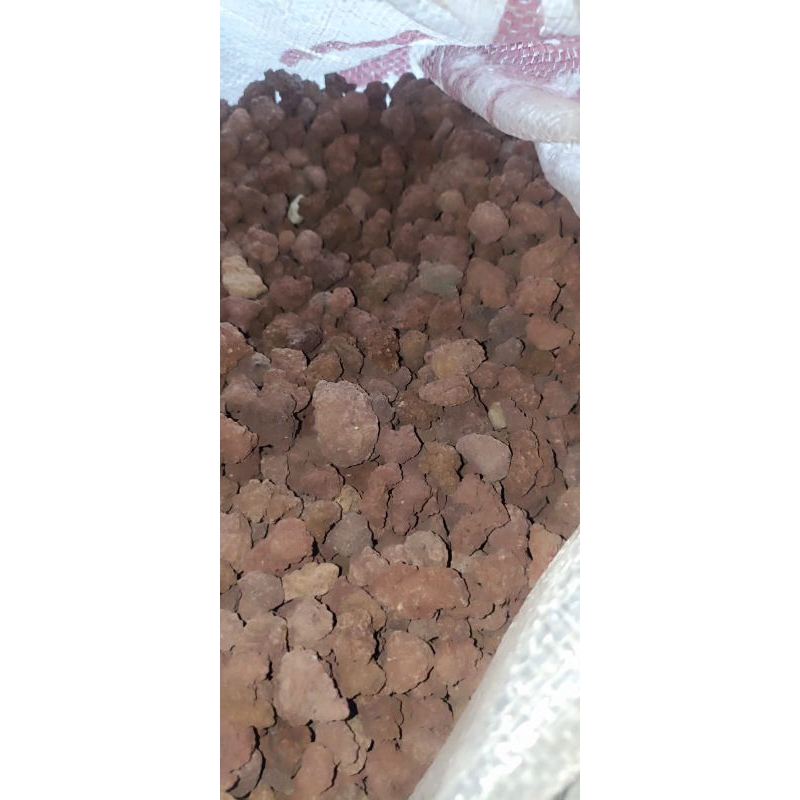 1Kg Lava rock Kecil Media Filter Aquarium Aquascape