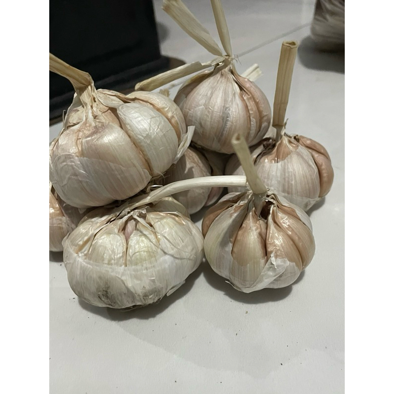

bawang putih probolinggo 1 kg