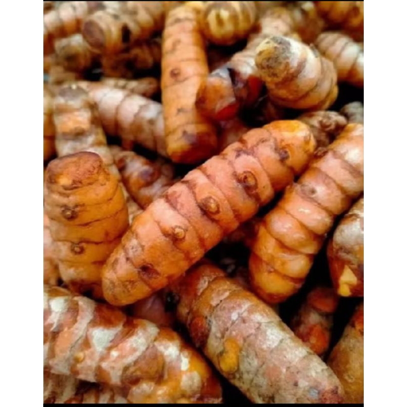 

kunyit super 1kg di jamin masih fresh dan baru di petik dari petani