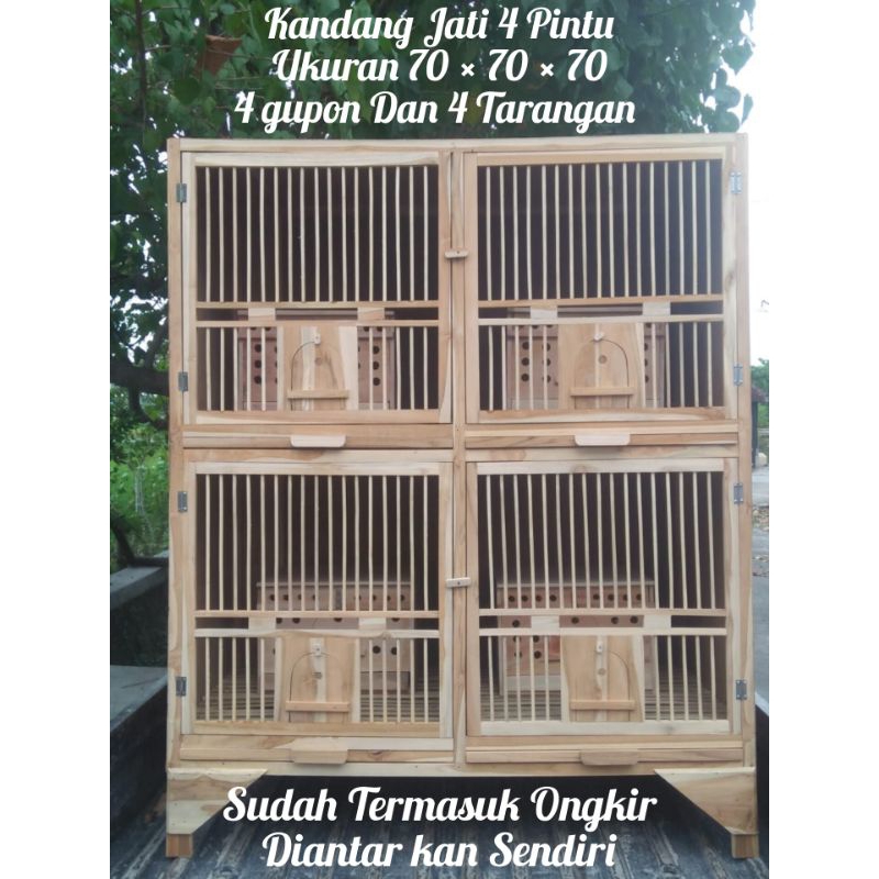 KANDANG MERPATI 4 PINTU + 4 GUPON FULL JATI HALUS GRATIS ONGKIR SE JAWA