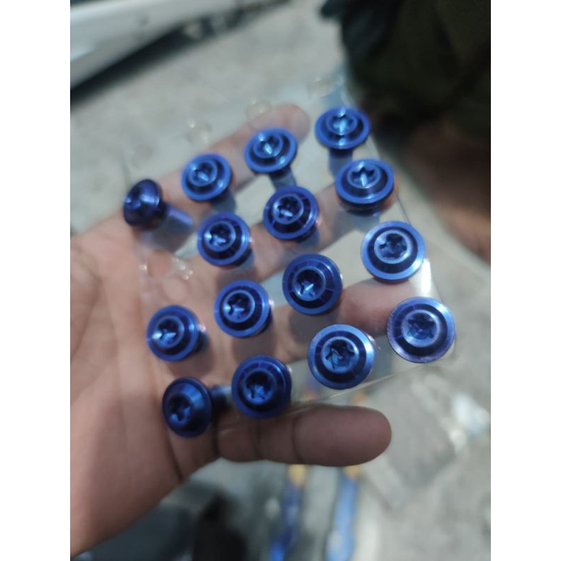 Baut disk piringan cakram titanium asli merk proti