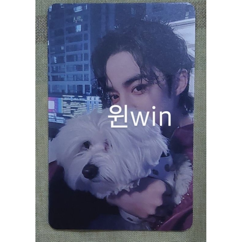 PC SEVENTEEN SCOUPS KKUMA (FML ERA)