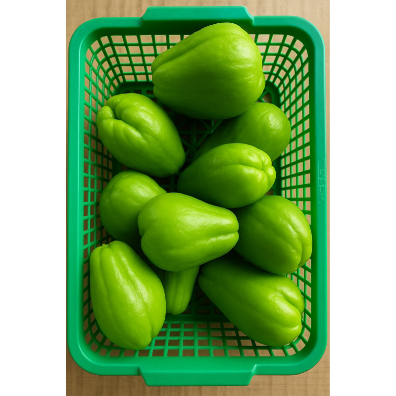 

PALEMBANG • labu siam sayur buah Palembang sayur fresh sayur labu fresh