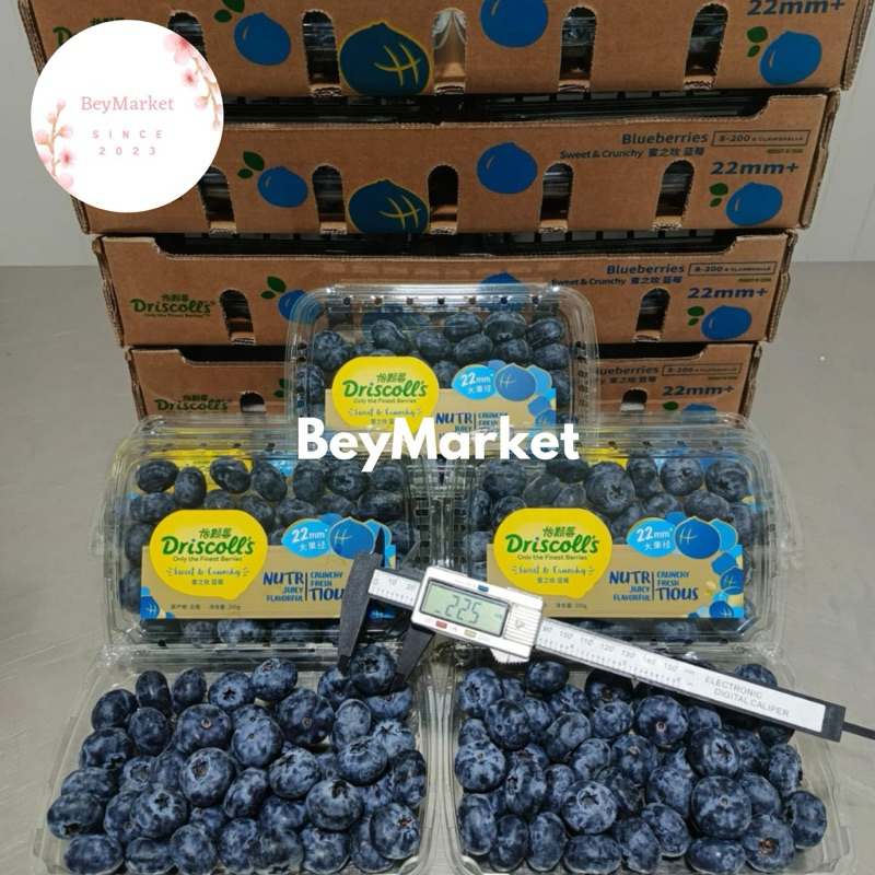 

Blueberry Driscoll’s Import 200g Size 22mm | Pack