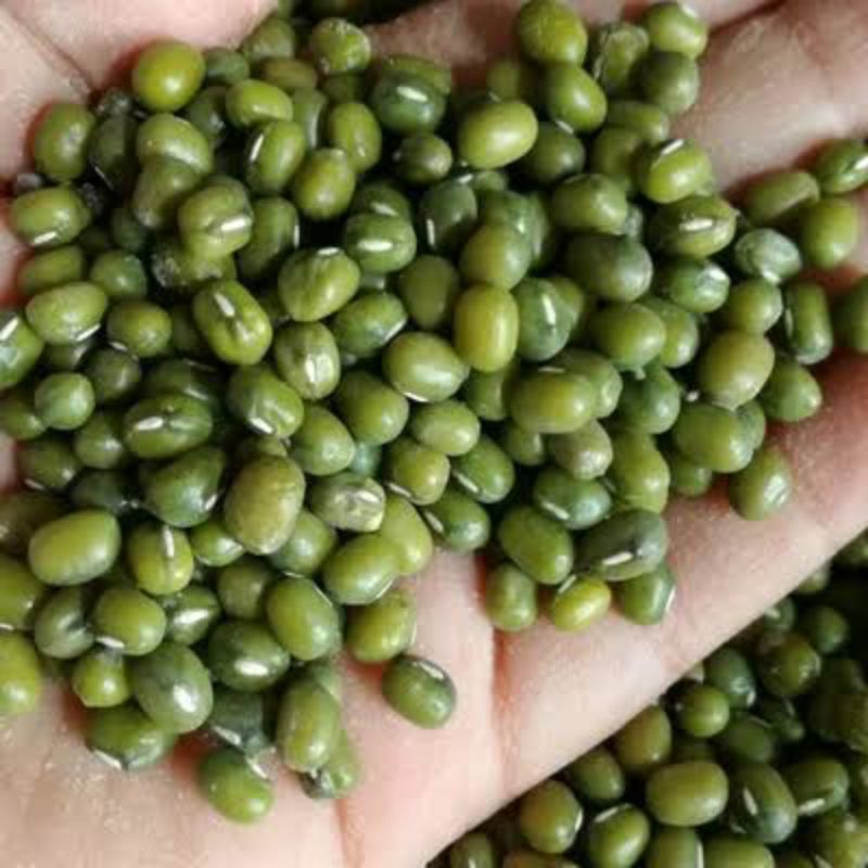 

kacang hijau asli 1 kg