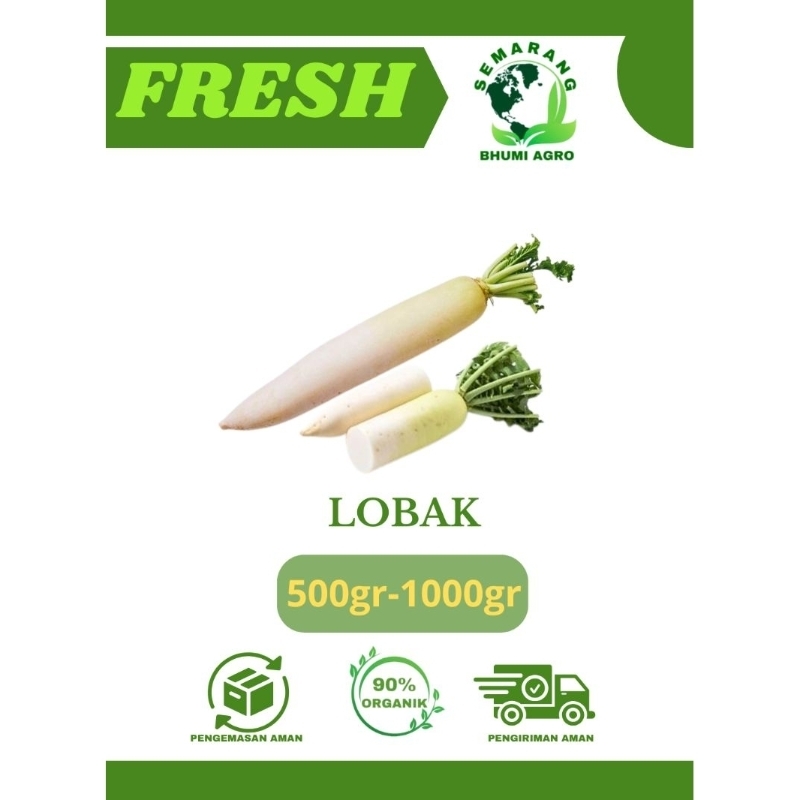 

Lobak Putih Organik & Fresh | BHUMI AGRO