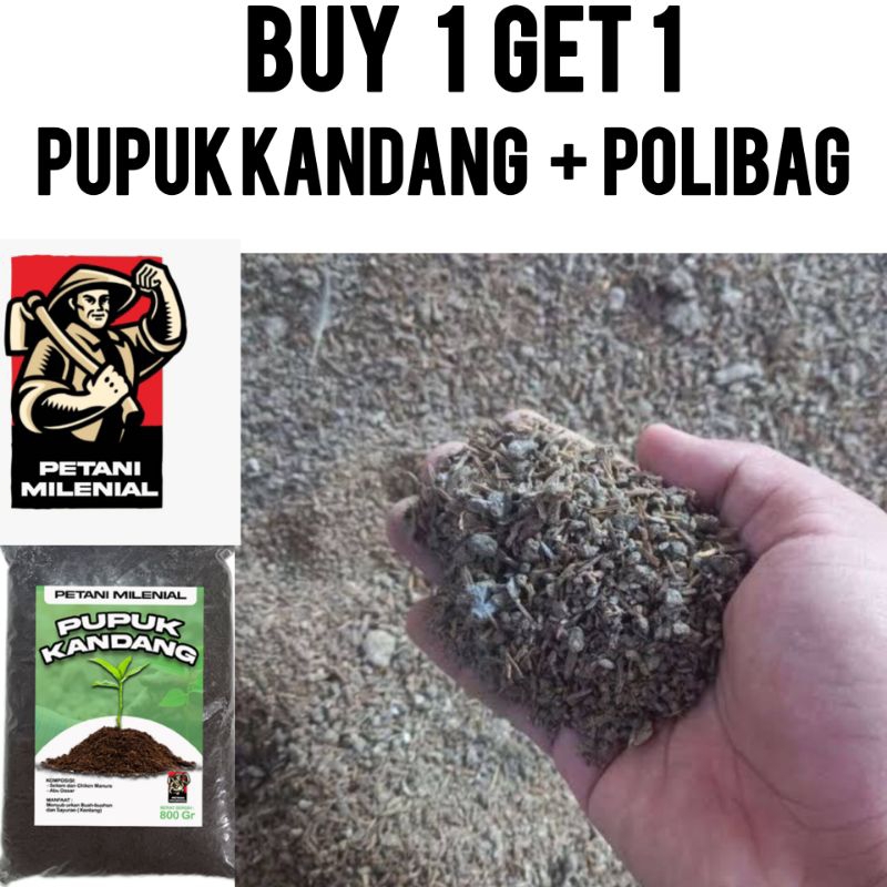 pupuk kandang ayam boiler