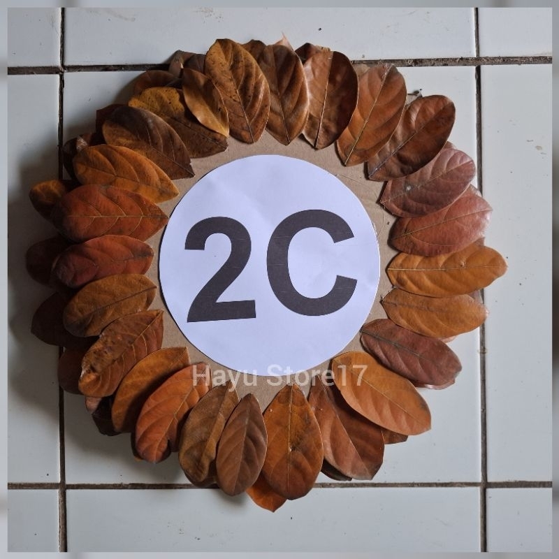 PRAKARYA - Hiasan dinding dari daun kering