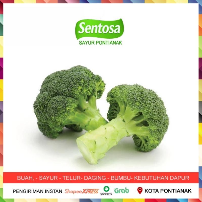 

Brokoli Hijau 200 gr Sentosa Sayur Pontianak