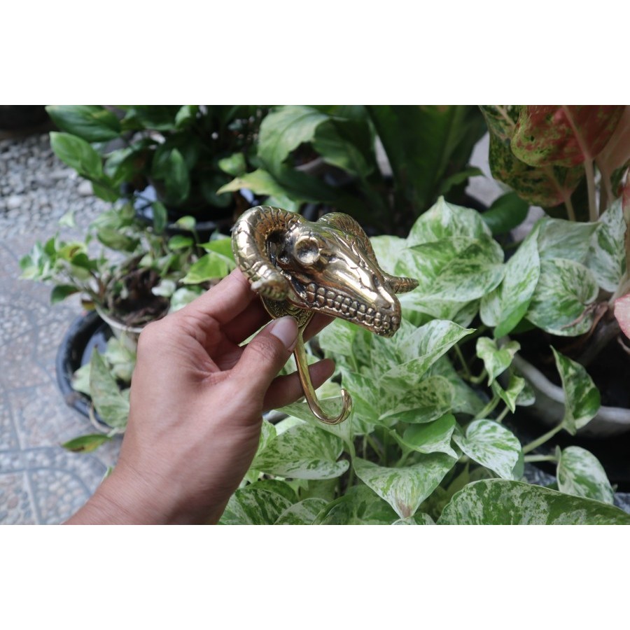 Gantungan Baju kuningan Kapstok tengkorak kambing