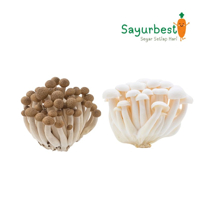 

Jamur Shimeji 150gr