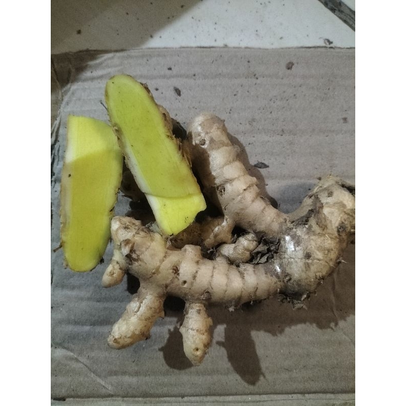 

KUNYIT MANGGA FRES SEGAR/DICUCI BERSIH 95 %/1KG