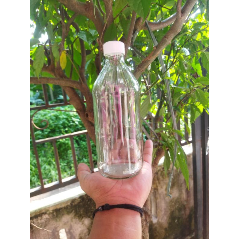 Botol kaca Apell 500ml Botol jus/sirup/jamu