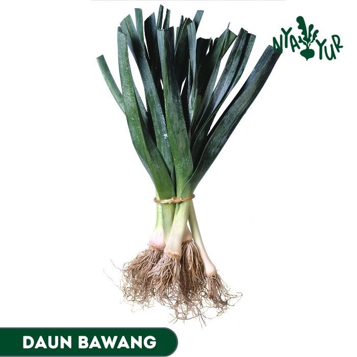 

INSTAN - Daun Bawang segar 100gr