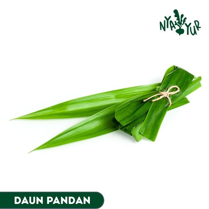 

INSTAN - Daun pandan Segar per ikat