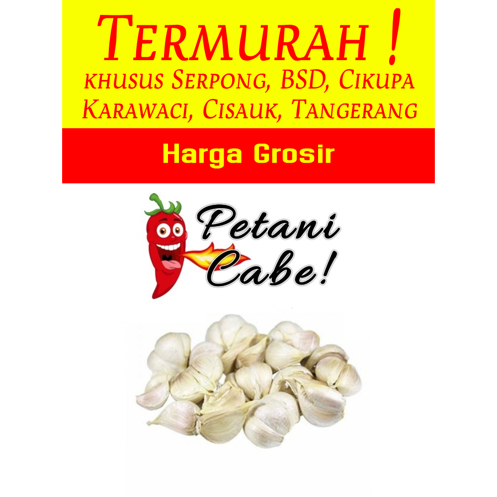 

Bawang Putih Kating 1 kg Harga Grosir (Petani Cabe Serpong)