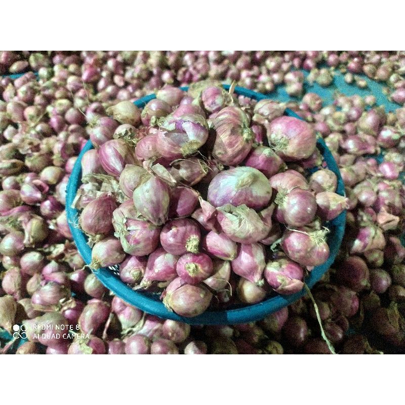 

promo bawang merah 1kg