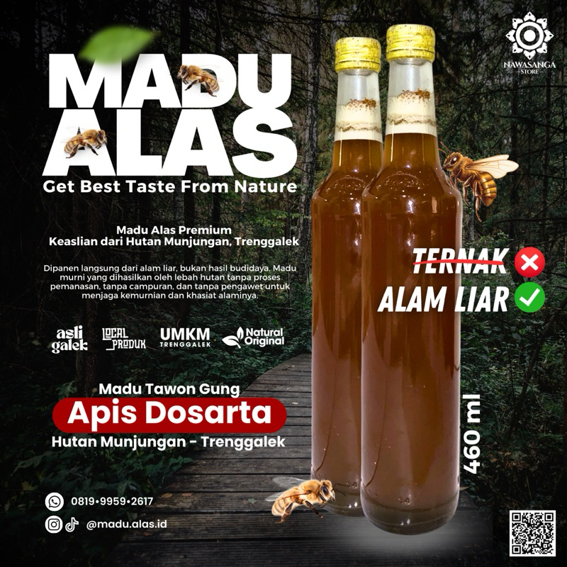 

Madu Tawon Gung (Apis Dosarta) Hutan / Alam Liar by Madu Alas Id
